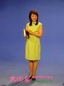 汪文华个人资料,艺术人生,光影交织的传奇旅程