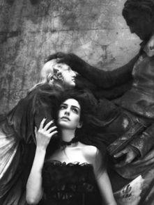 吸血明星,魅惑之夜的璀璨传奇