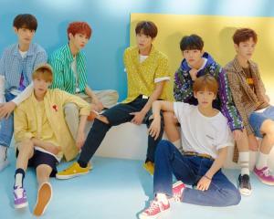 verivery资料,Verivery资料深度解析