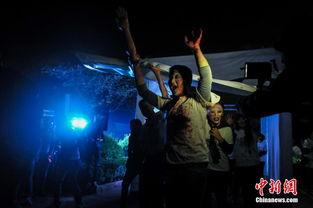 追逐娱乐,追逐梦想的激情之旅