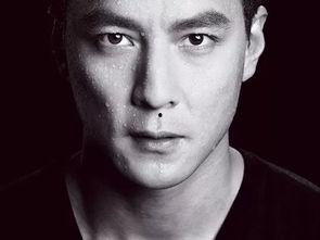 190男明星,魅力与才华并存的璀璨星河