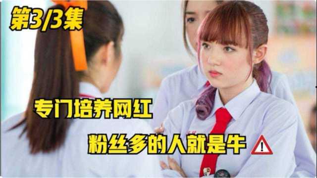 网红养成记有几集,跨越N集的蜕变之旅