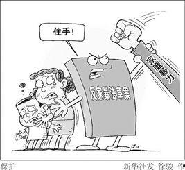 家暴政策背景,政策背景下的社会变革与法律保障