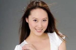 袁愿资料,探寻历史足迹,传承文化薪火