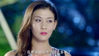 袁愿资料,探寻历史足迹,传承文化薪火