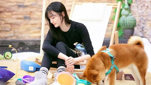 郑爽被绑花絮,幕后故事揭秘,明星幕后辛酸录